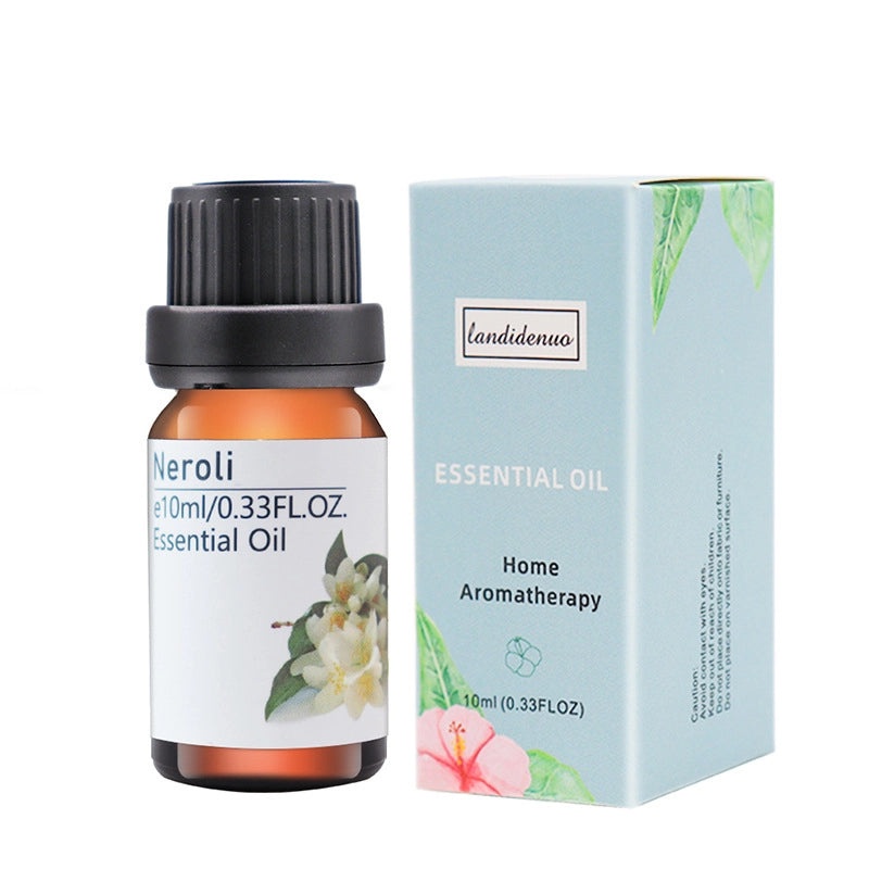 Colorful Casual Plastic Jewelry Organizer|Jewelry Storage & Display