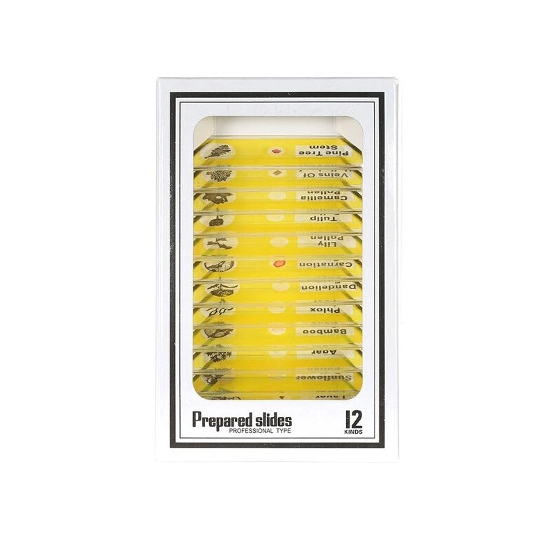 Educational Alphabet Plastic Toys for Kids|Learning & Educational Toys