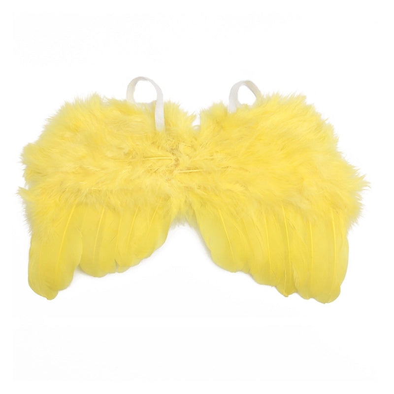 Feathered Wings Interactive Cat Toys|Pet Toys