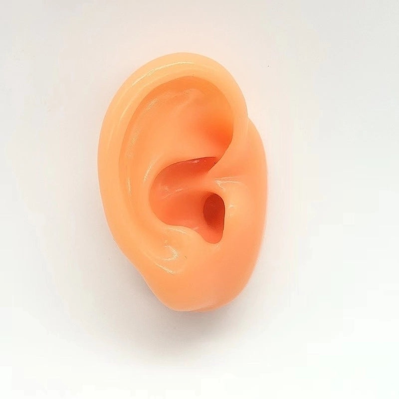 Soft Silicone Human Ear Model for Ear Cleaning Training and Medical Display|Medical Supplies