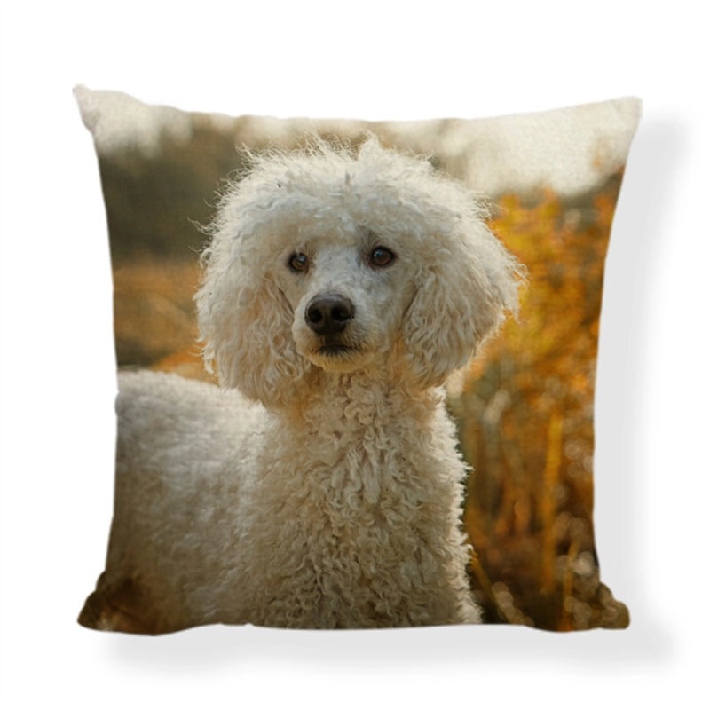 Cute Modern Animal Print Polyester Pillow Covers for Couch Sofa Decor|Home Decor & Pillows