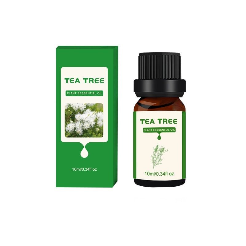 3 Pieces Water-Soluble Aromatherapy Essential Oils Set for Hotel Humidifiers | Home Fragrance & Aromatherapy