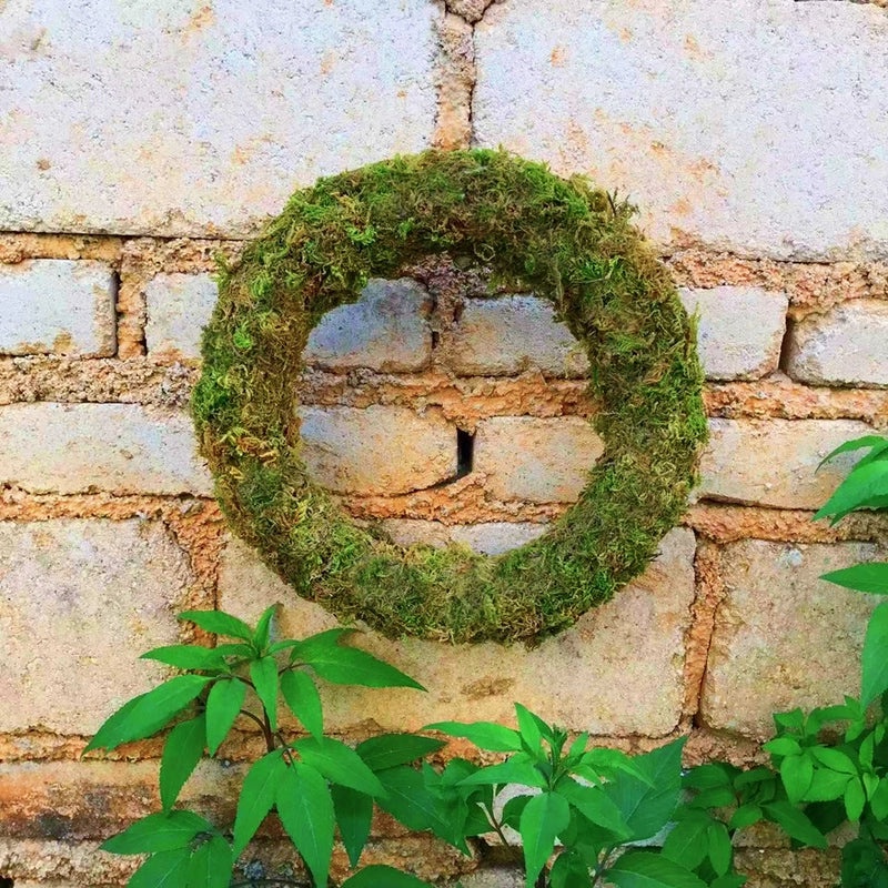Handmade DIY Moss Wreath for Christmas Decoration | Home Decor