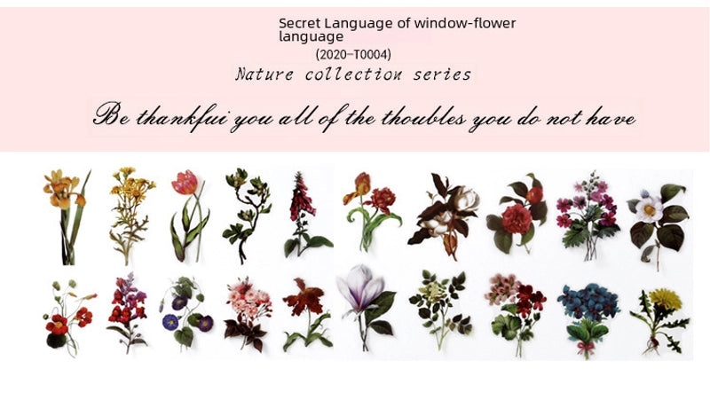 Natural Photo Collection Secret Window Pet Handbook Sticker Set 12 Styles Creative Plant DIY Decoration|Stationery & Craft Supplies