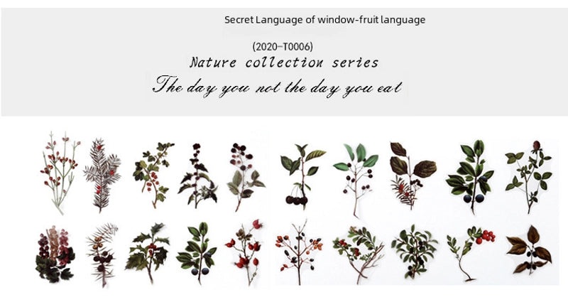Natural Photo Collection Secret Window Pet Handbook Sticker Set 12 Styles Creative Plant DIY Decoration|Stationery & Craft Supplies