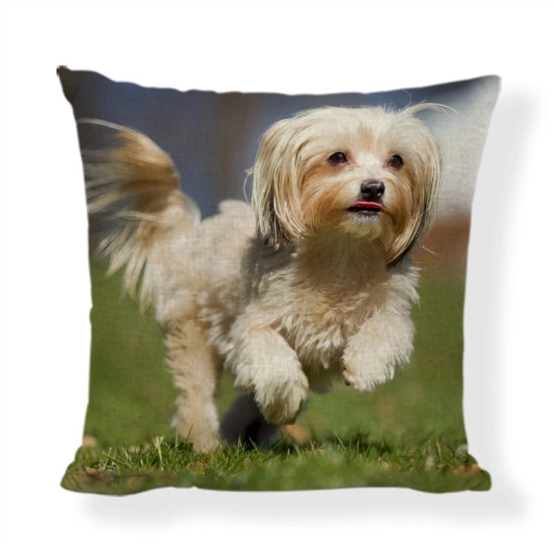 Cute Modern Animal Print Polyester Pillow Covers for Couch Sofa Decor|Home Decor & Pillows