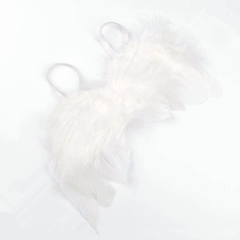 Feathered Wings Interactive Cat Toys|Pet Toys