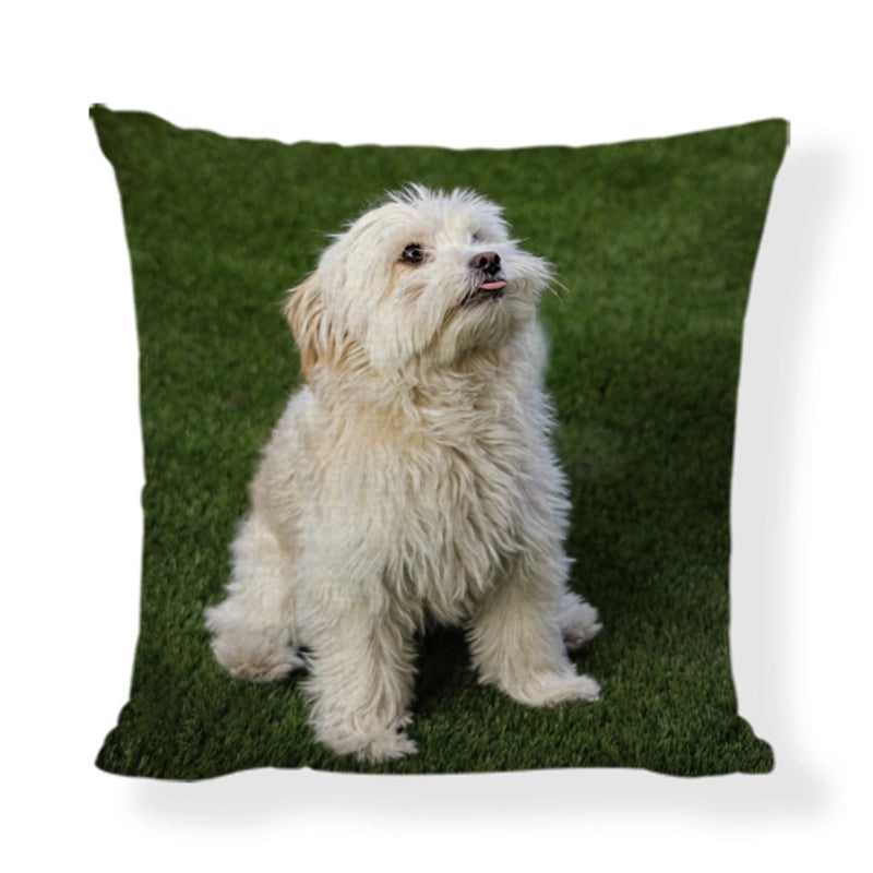 Cute Modern Animal Print Polyester Pillow Covers for Couch Sofa Decor|Home Decor & Pillows