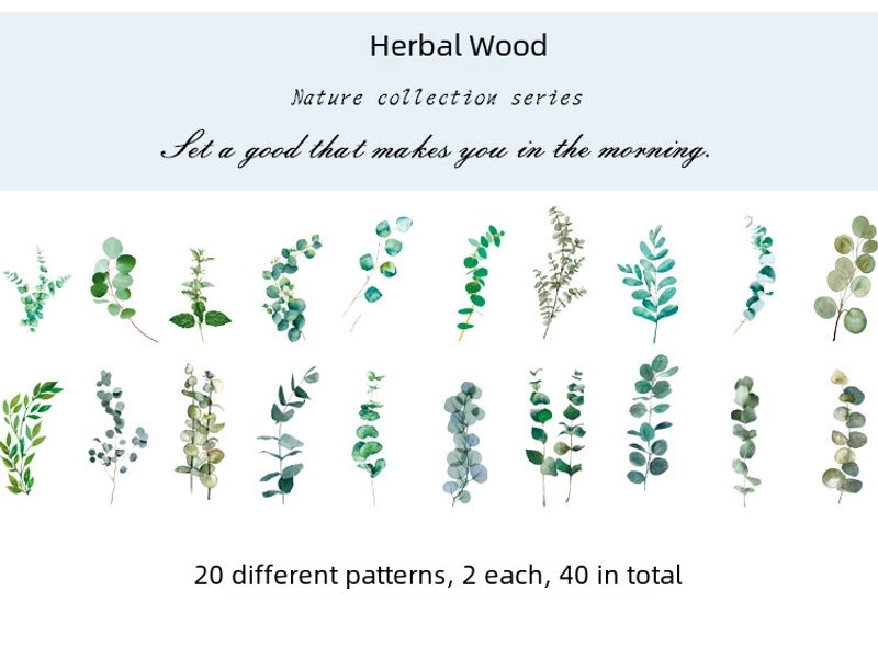 Natural Photo Collection Secret Window Pet Handbook Sticker Set 12 Styles Creative Plant DIY Decoration|Stationery & Craft Supplies