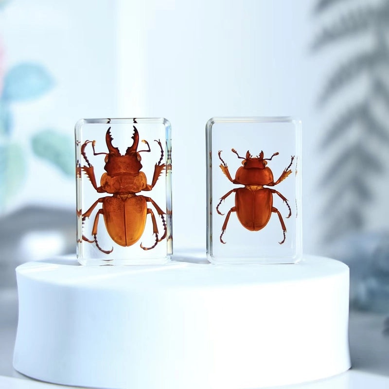 Halloween Resin Decorations with Ants, Spiders, and Butterflies|Seasonal Holiday Decor
