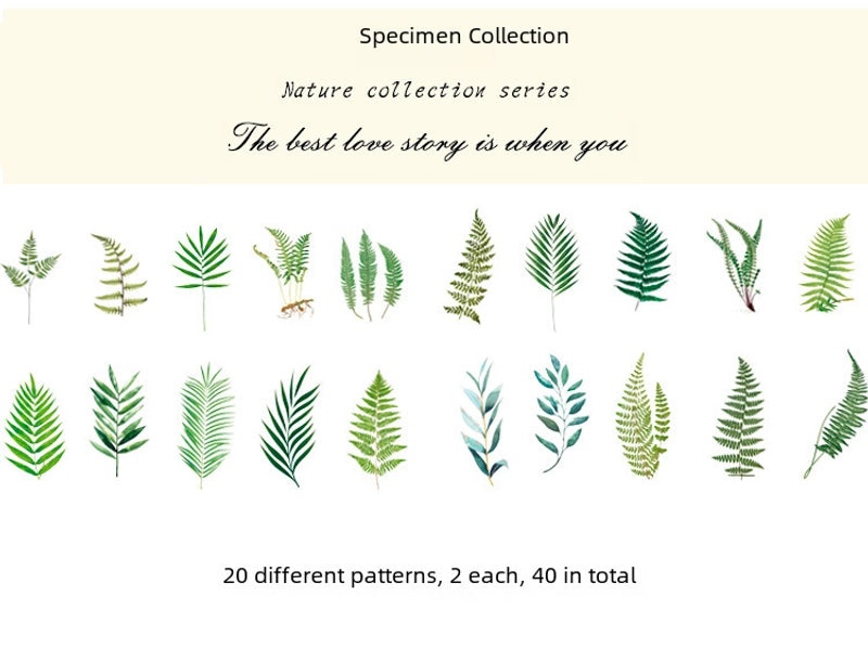 Natural Photo Collection Secret Window Pet Handbook Sticker Set 12 Styles Creative Plant DIY Decoration|Stationery & Craft Supplies