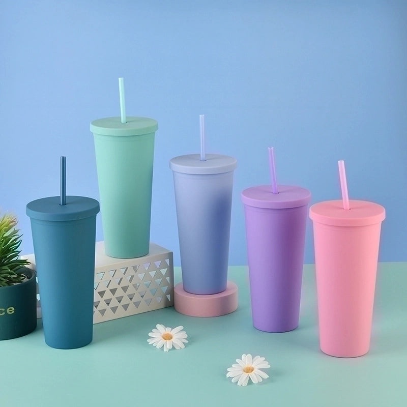24oz Double-layer Frosted Plastic Straw Cup with Lid | Drinkware & Tumblers