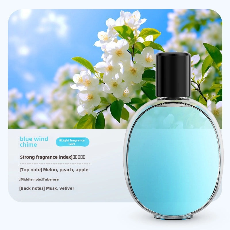 Automatic Aromatherapy Diffuser Humidifier Air Freshener for Room Toilet Deodorizing | Home Fragrance Devices