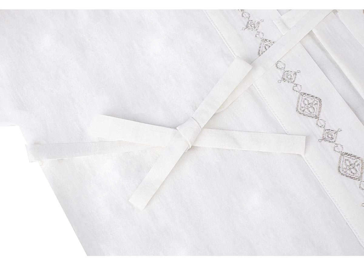 Women Modern Daily Hanfu 2-Piece Set, Dian Cui Embroidery | HANFUBAO