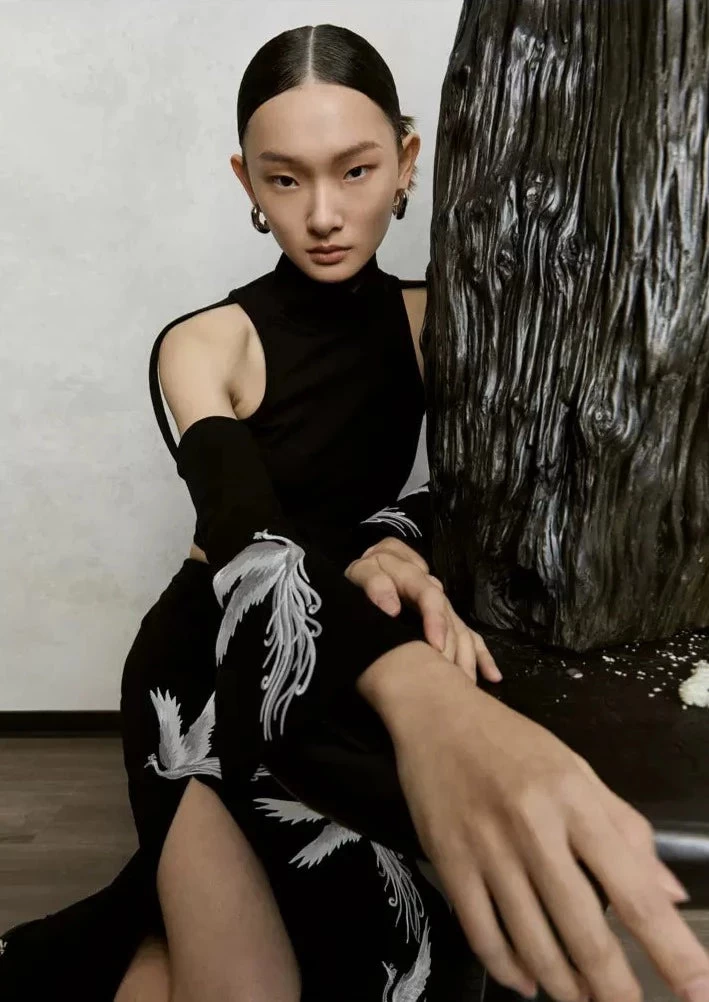 Women Modern Daily Hanfu 2-Piece Set Phoenix Embroidery Viscose Blend | HANFUBAO