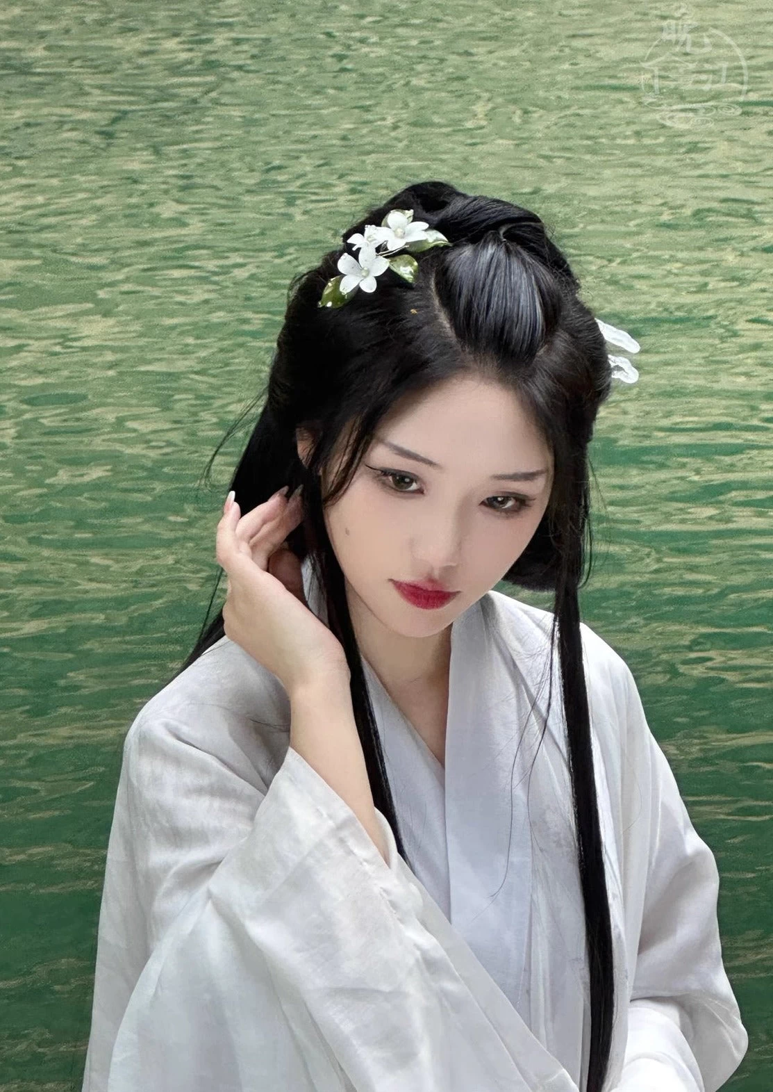 Women Cloud-Pattern Resin Plastic Hairpin Pair for Hanfu Daily Wear | HANFUBAO