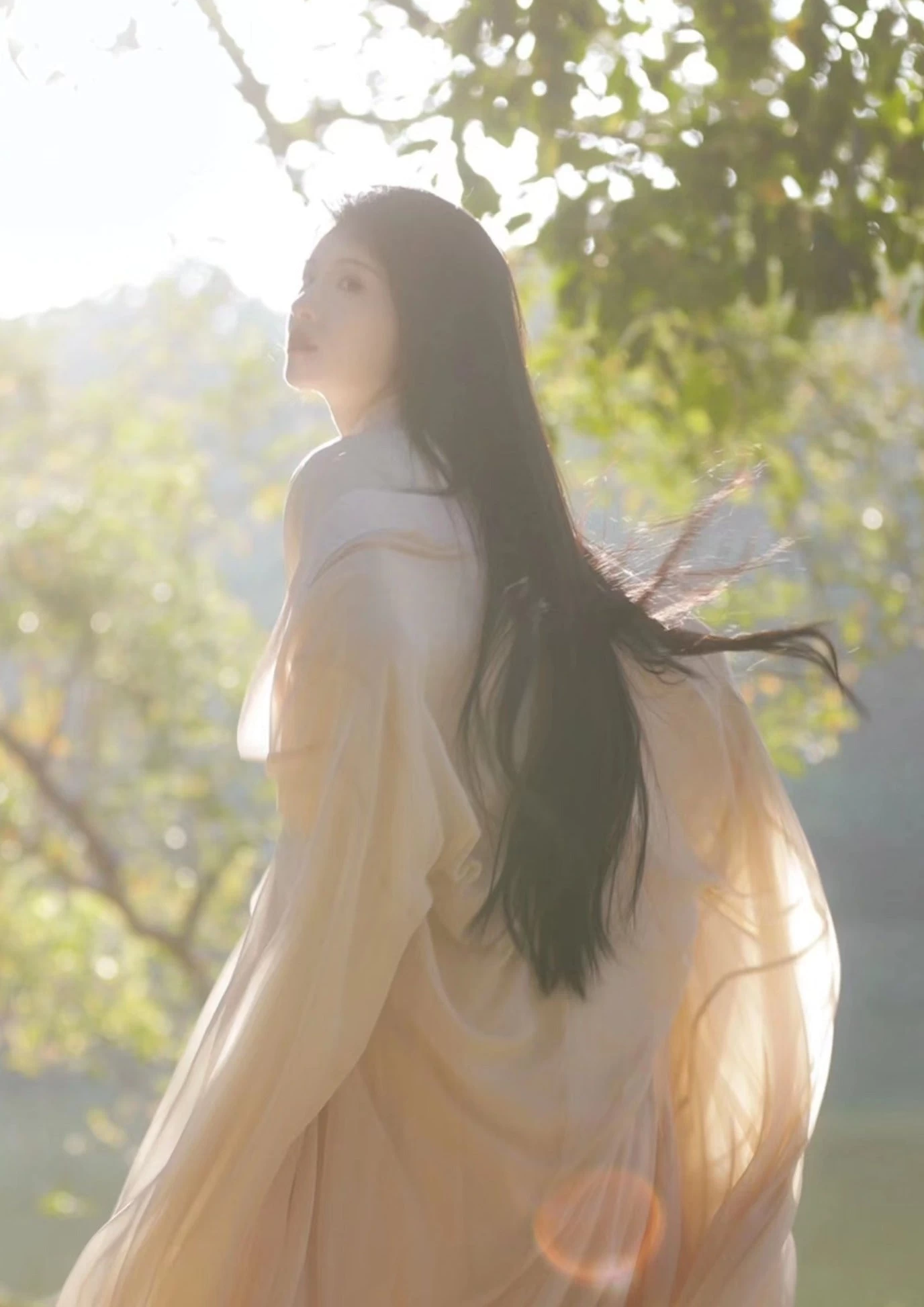 Women’s 4-Piece Chiffon Hanfu Set, Flowing Skirt Daily Wear Plus Size | HANFUBAO