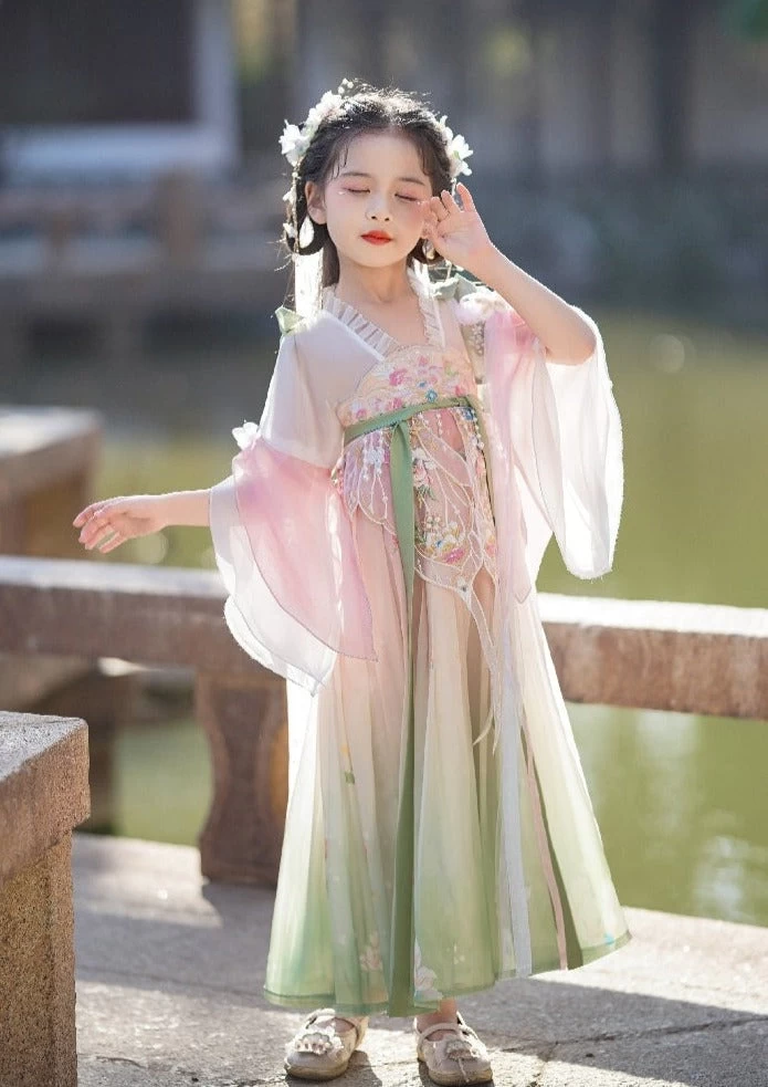 Girls Daily Hanfu Chiffon Pink Flower Embroidered Dress | HANFUBAO