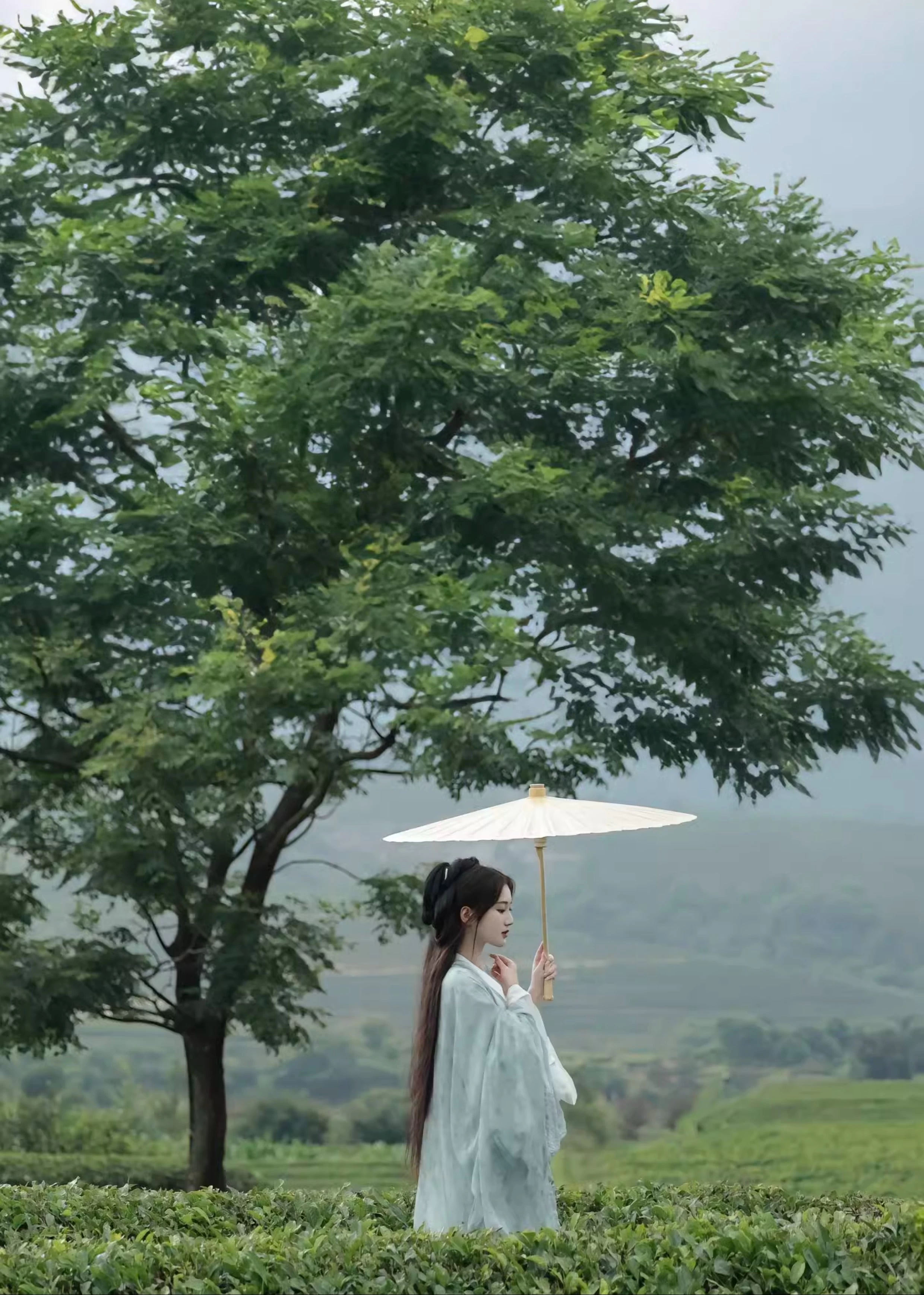 Women 3-Piece Chiffon Hanfu Set Daily Wear Plus Size | HANFUBAO