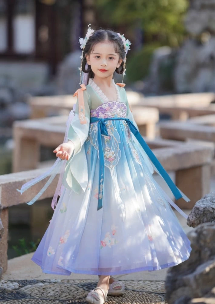 Girls Daily Hanfu Chiffon Pink Flower Embroidered Dress | HANFUBAO