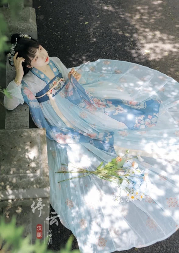 Women’s Modern Chiffon Hanfu Set Tang Pink/Blue | HANFUBAO