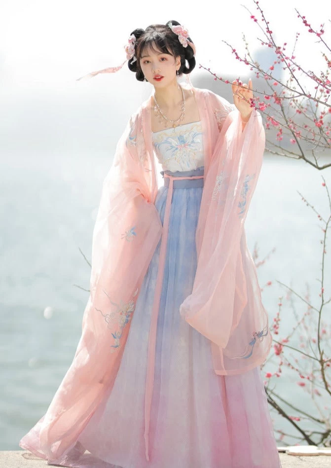 Women Modern Hanfu Chiffon Dress Set Pink Aqua 4-Piece | HANFUBAO
