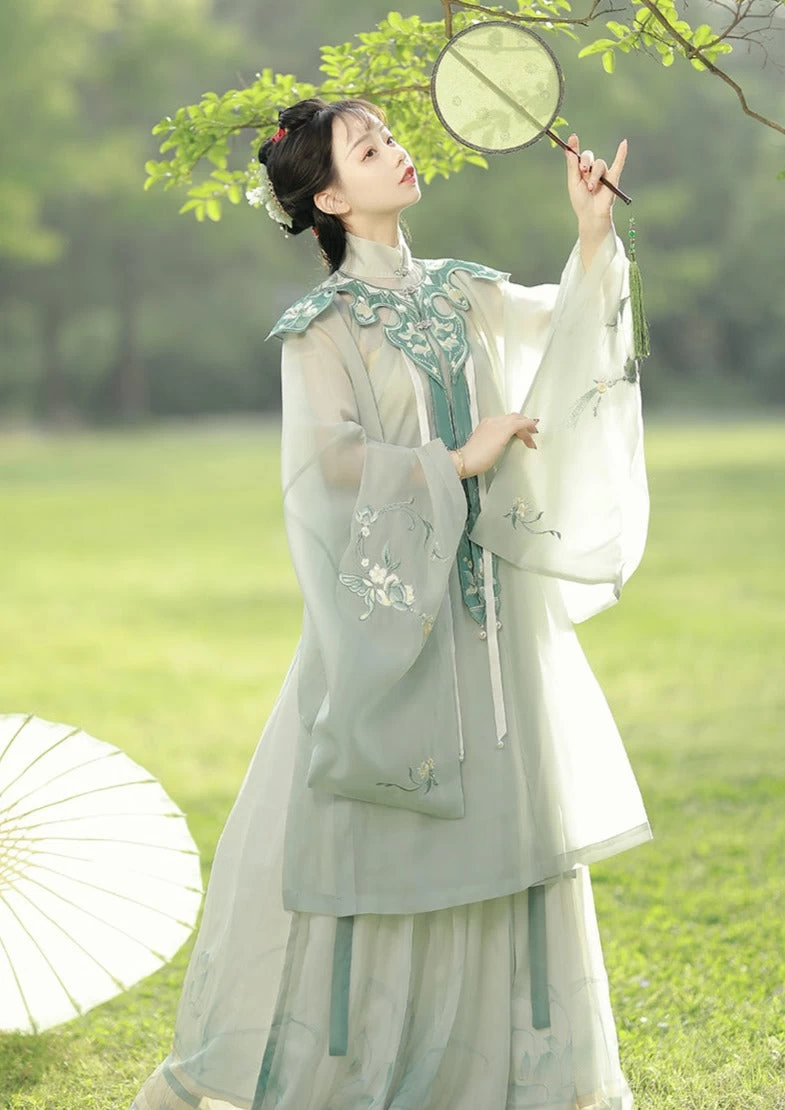 Women Ming Dynasty Hanfu Dress Butterfly Embroidery Chiffon Set Daily Wear | HANFUBAO