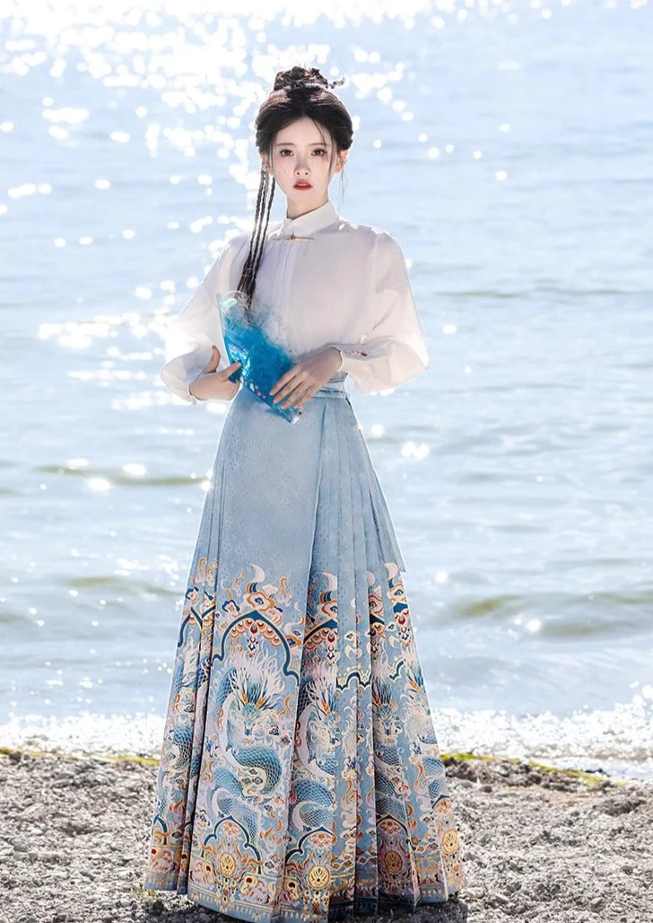 Women Modern Ma Mian Skirt Dragon Embroidery Plus Size| HANFUBAO