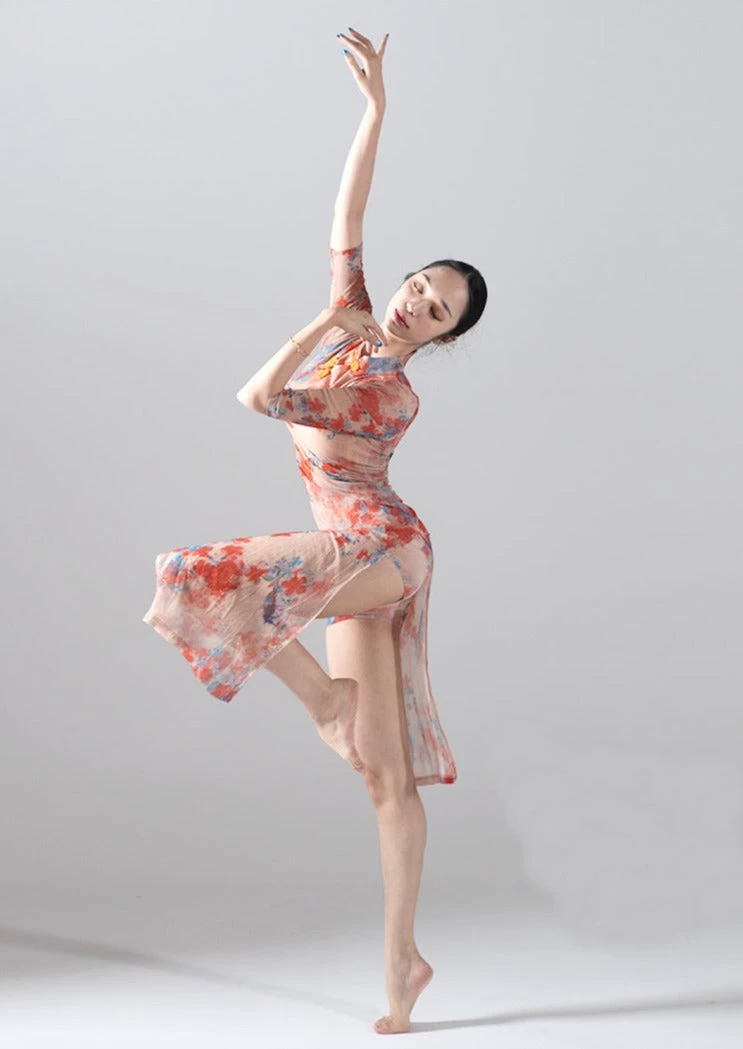 Women's Chinese Hanfu Dance Costume Cherry Blossom Deer Print | HANFUBAO