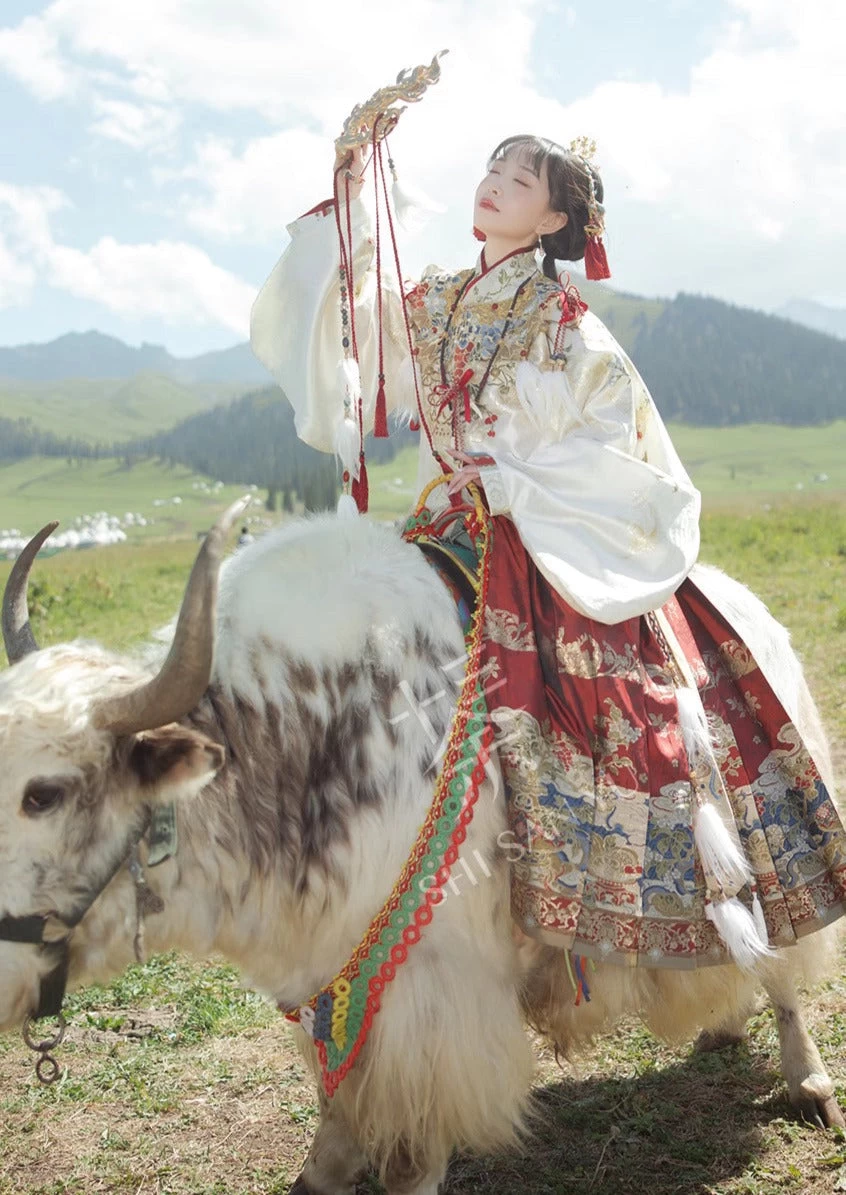 Women 2-Piece Ming Dynasty Hanfu Set Golden Embroidery Daily Wear| HANFUBAO