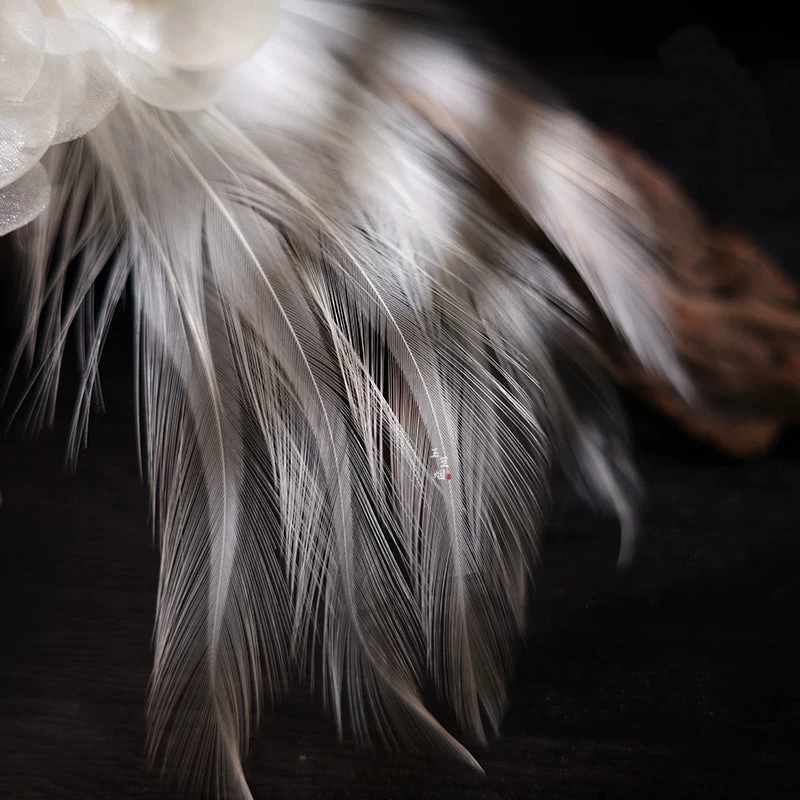 HANFUBAO | Women Shrink Plastic Hanfu Hair Clips Pair White Crane Floral Feather