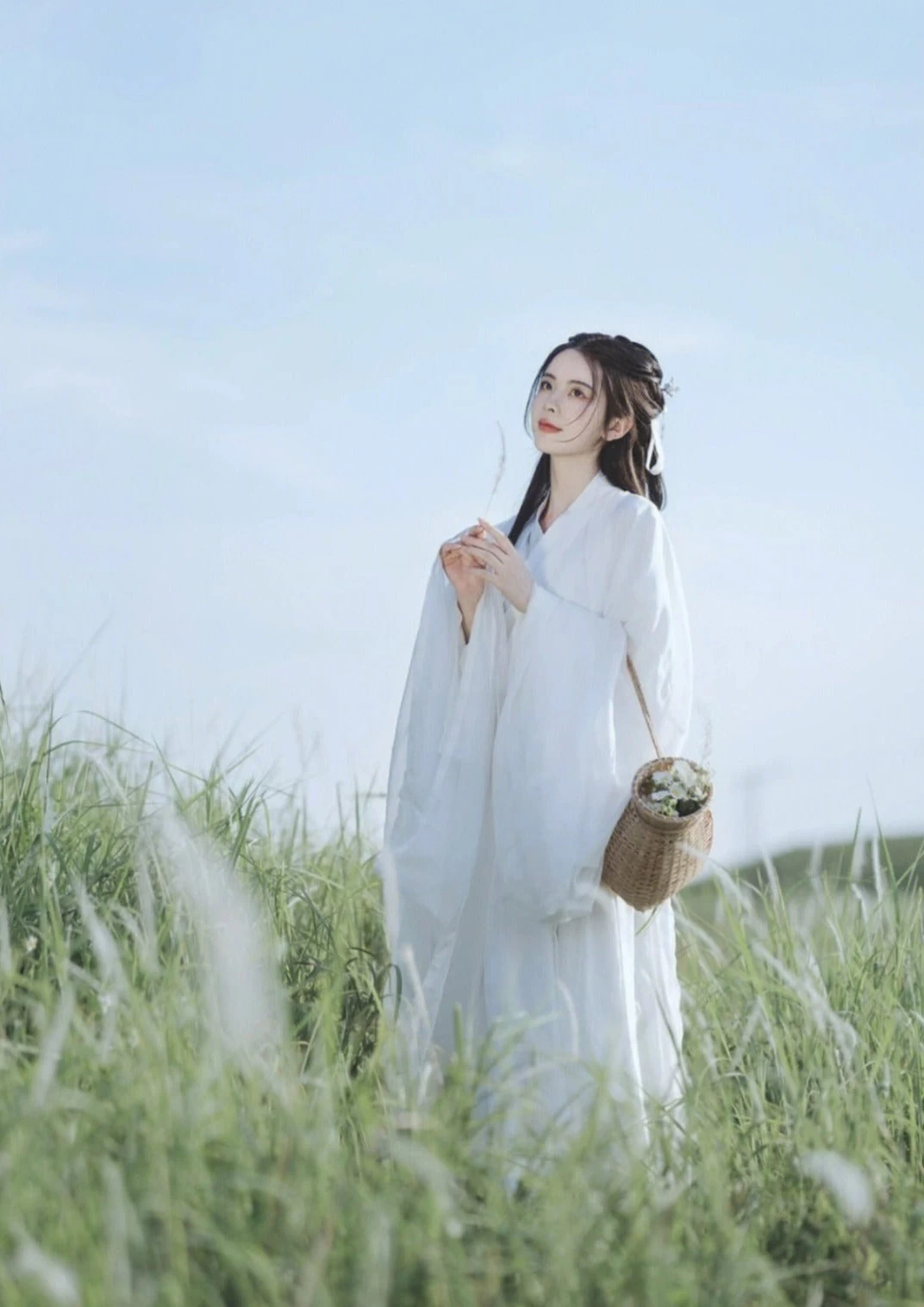 Women's Daily Chiffon Hanfu Two-Piece 7 Colors Plus Size | HANFUBAO