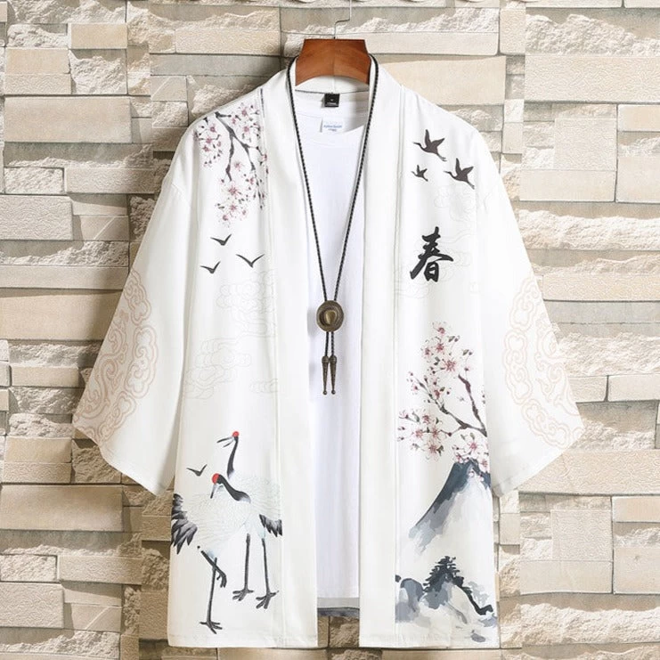 Unisex Daily Hanfu Robe Top, Multi-Color Plus Size | HANFUBAO