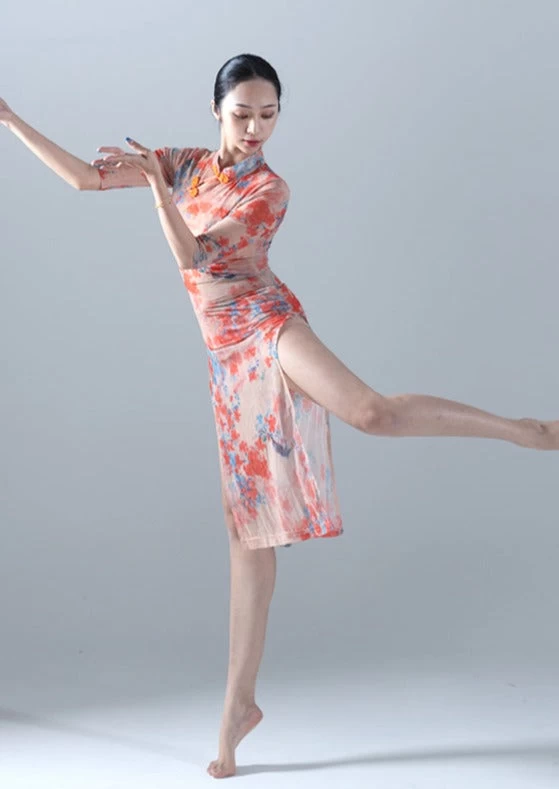 Women's Chinese Hanfu Dance Costume Cherry Blossom Deer Print | HANFUBAO