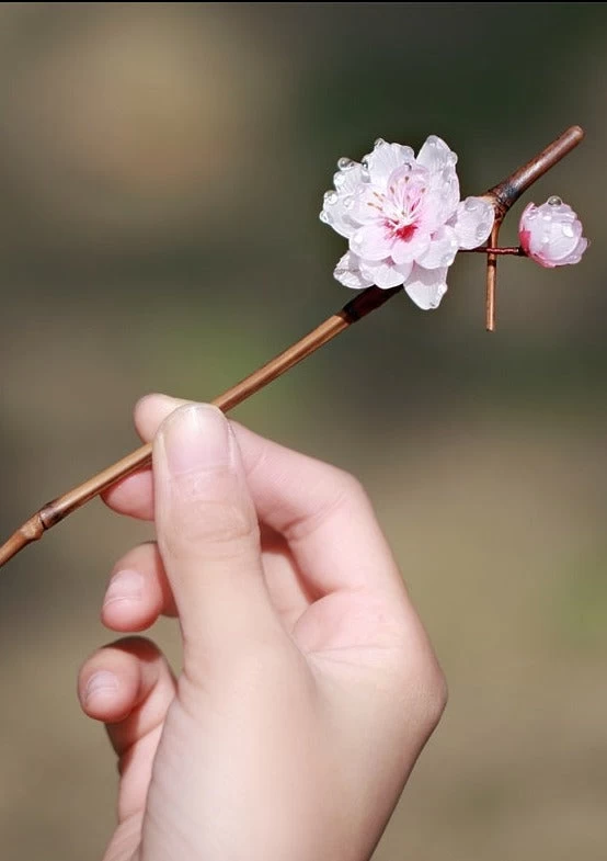 Women Hanfu Plum Blossom Hairpin Pink/Purple Bamboo Shrinky Dinks| HANFUBAO