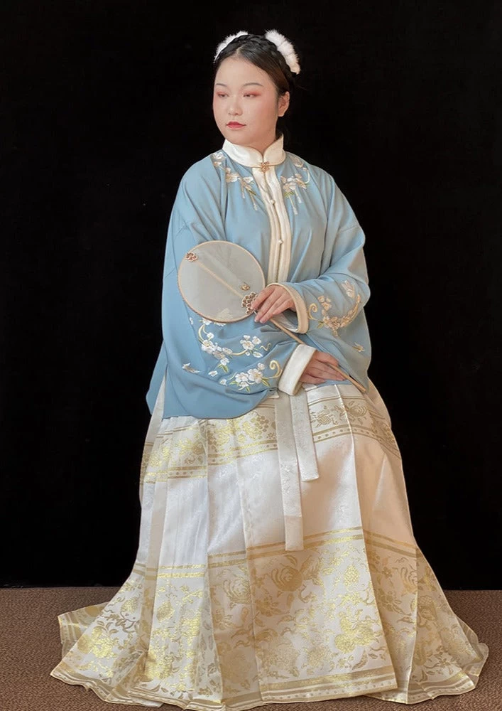 Women's Plus Size Daily Hanfu Skirt 6 Colors 4.5m Hem | HANFUBAO