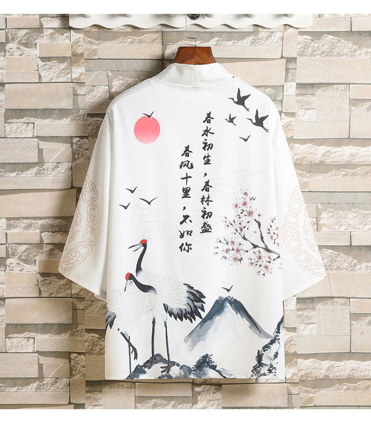 Unisex Daily Hanfu Robe Kimono Top Cotton Blend Multi-Color Plus Size | HANFUBAO