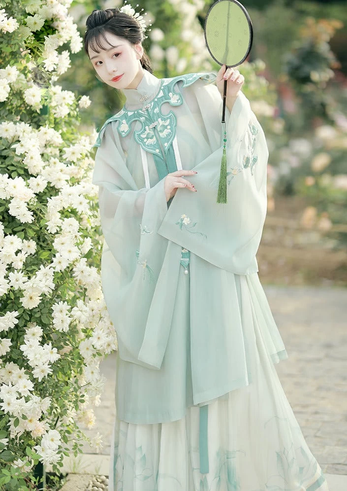 Women Ming Dynasty Hanfu Dress Butterfly Embroidery Chiffon Set Daily Wear | HANFUBAO