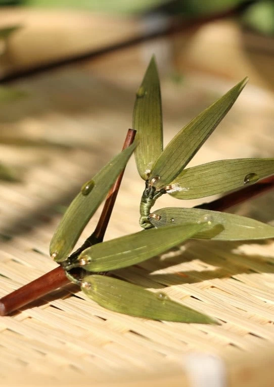 Unisex Bamboo Leaf Green Hairpin for Hanfu Daily Wear, Shrinky Dinks/Bamboo | HANFUBAO